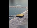 first islamic 200mg gold backed digital coin #blockchain #tech #startup #crypto #ai #innovation