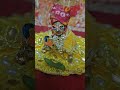 कान्हा कान्हा दिल ये कर बावरा 💙🥹 | Laddu Gopal Status#shorts #trending #viral