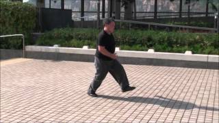 黃漢勛北螳螂功夫系列-崩步-左右演示