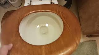 1980's Briggs Conserver Toilet