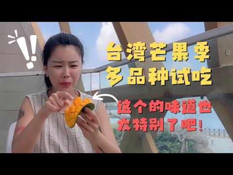 台湾芒果季 明星品种大比拼｜垦丁馥兰朵Volando 一个熟悉的铜锣带来的一个惊喜！