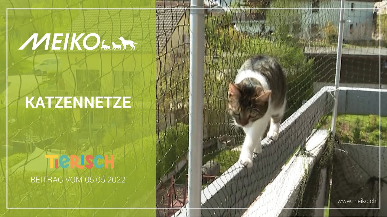 Katzenschutznetze – tierisch Beitrag vom 05.05.2022