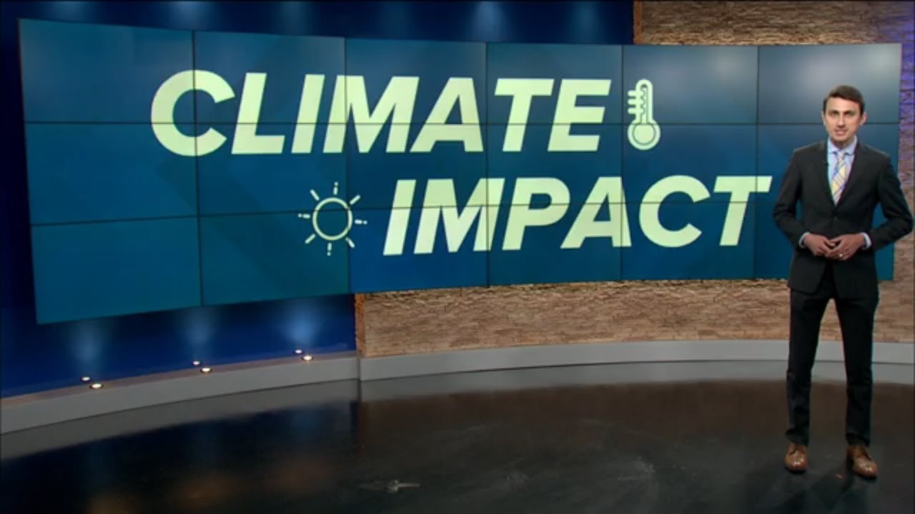 Breaking down Ohio's most extreme drought since 2000, mosquitos and more | Climate Impact