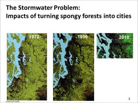 Thumbnail for the embedded element "Green Stormwater Infrastructure / Low-Impact Development Toolbox of Solutions"