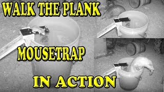 Walk The Plank Mouse Trap In Action