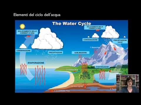 Video: Quali sono le componenti del ciclo idrologico?