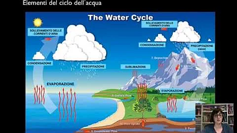 Quali sono le fasi del ciclo idrologico?