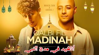 Maher Zain U0026 Harris J  Qalbi Fil Madinah        