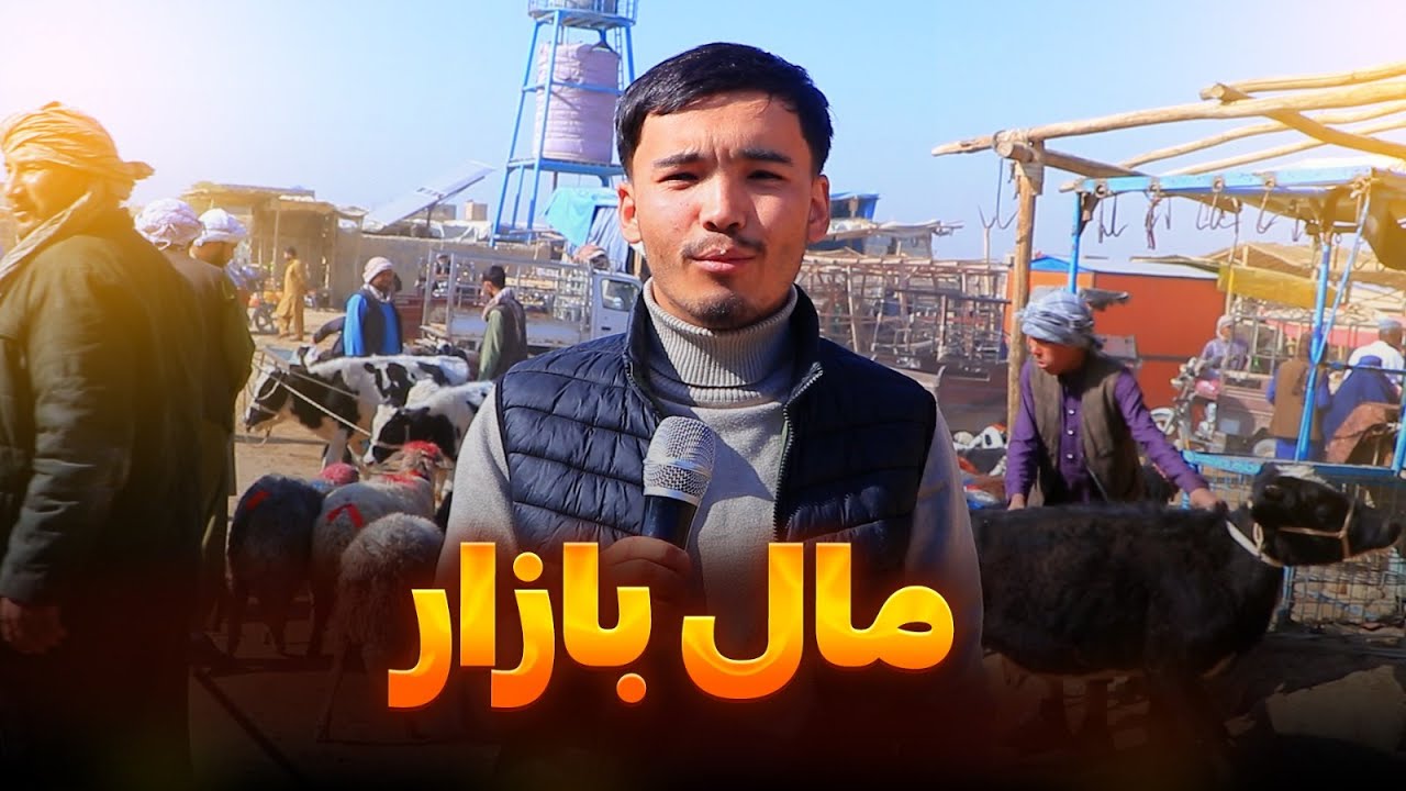 بازارمواشی مزارشریفI مصاحبه با حاجی سخای جلابI Mazar-e-Sharif Livestock Market-