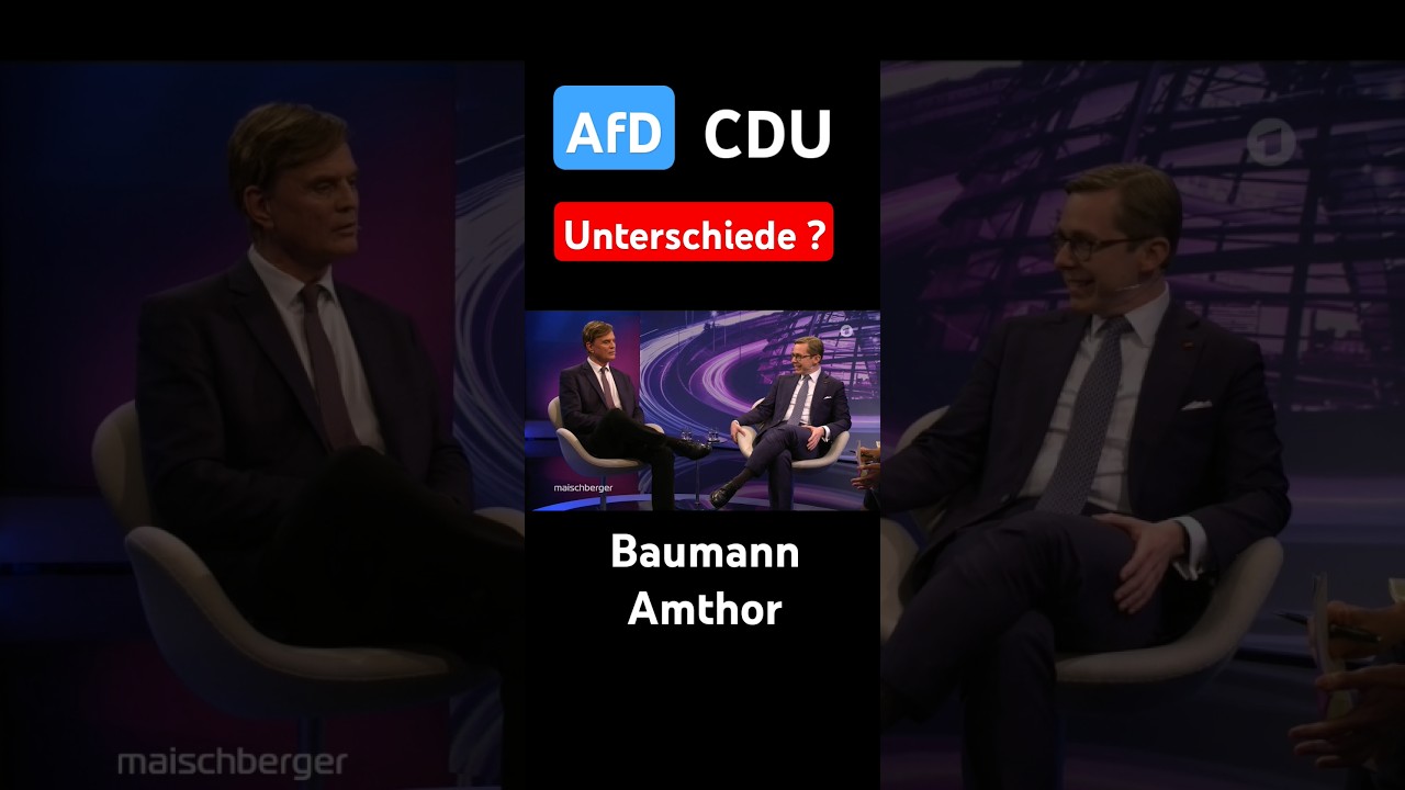 AfD CDU Unterschiede Baumann Amthor Maischberger 