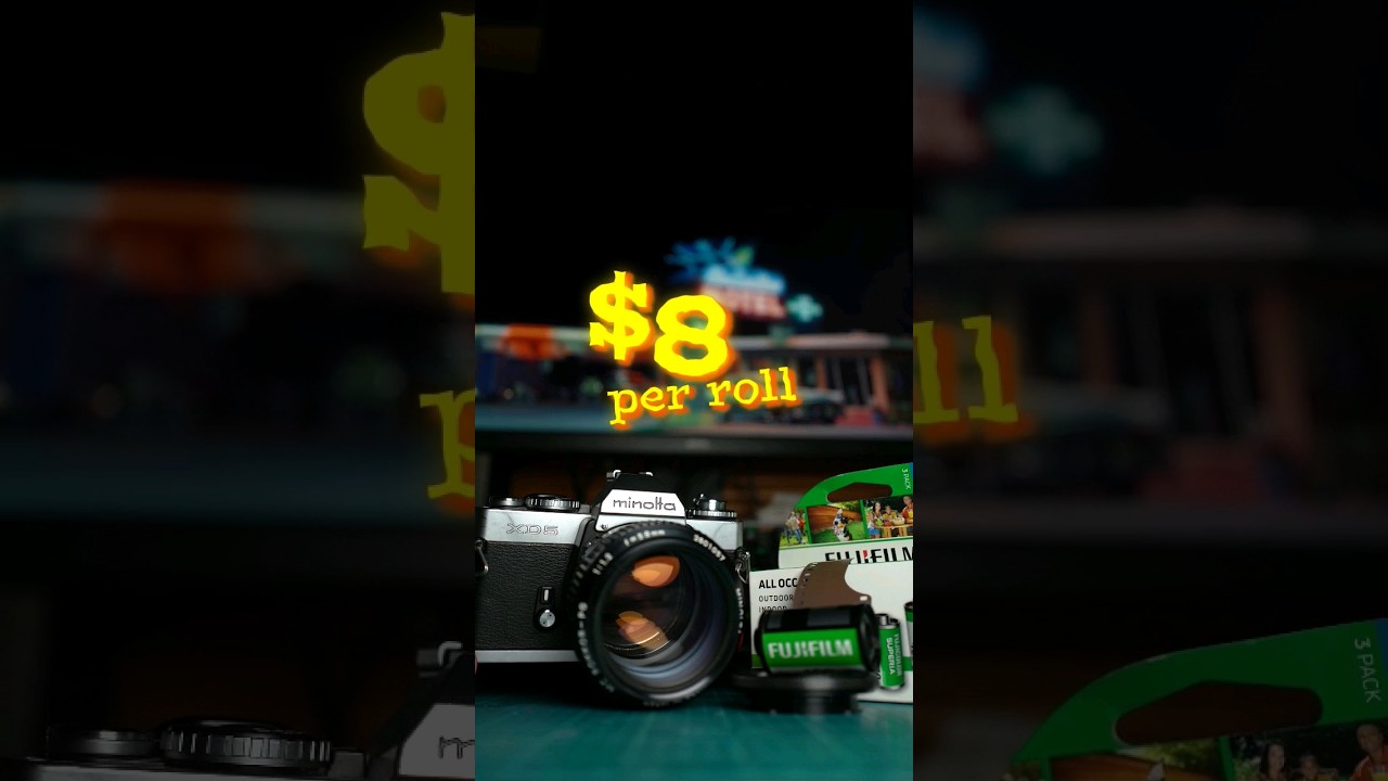 Try this Cheap Color Film Stock Fuji Superia 400 