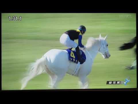 素人実況　2021年　第81回桜花賞