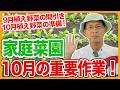 家庭菜園や農園の秋冬野菜栽培で10月の重要作業！野菜の間引きや10月植え野菜の準備と秋冬野菜の育て方！【農家直伝】