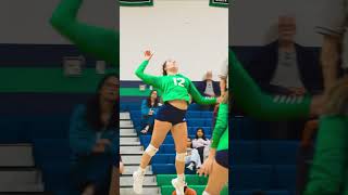 Womens Volleyball Sports Endicott College