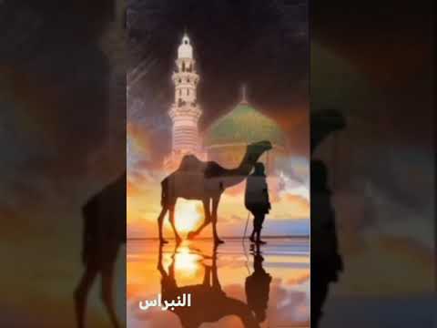 المدد يا رجال الله 