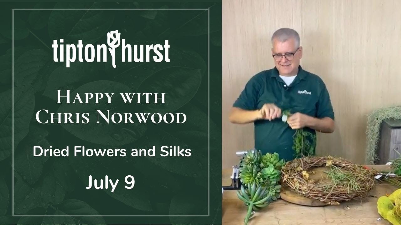 Happy with Chris Norwood: Dried Flowers and Silk Flowers