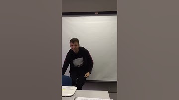 Eli Hops Circular