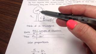 MCS L. 97 similar triangles