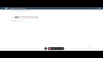 IQ01   Create Material Serial Number in SAP S 4HANA