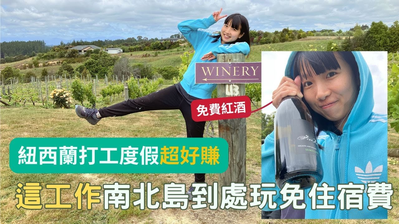 這才是真的「打工度假」！紐西蘭葡萄園接枝🍇：時薪高達XX元！還能環遊南北島【呆丸雅婷Cupy】