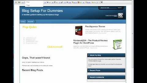 Flexibility 3 Theme Customization Part 2 - Blog Setup For Dummies