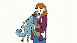 I've only had River for a day and a half -pokemon meme