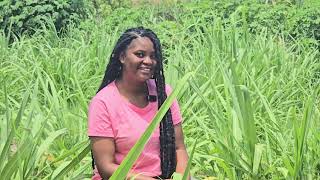 TURNING SMALL PLOTS INTO BIG PROFITS - LESSONS FROM PURITY JUDITH JANUARY