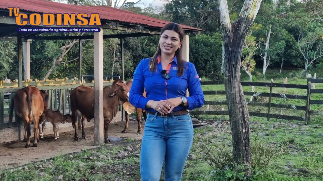 TV CODINSA TERCERA EDICIÓN 2026