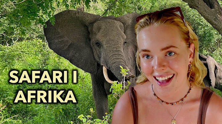SAFARI I TANZANIA med minifly og telte🦒
