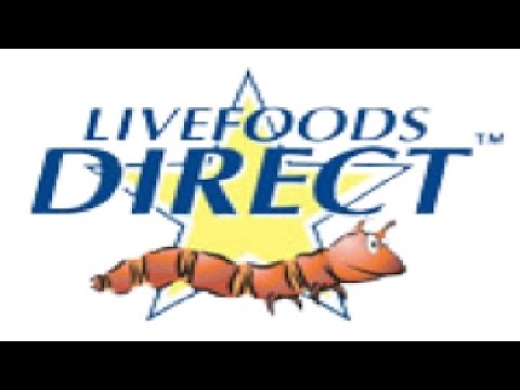 LIVEFOODS DIRECT Review! (Where I buy my livefood) - YouTube