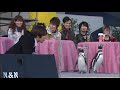 ペンギンと触れ合う神谷浩史、中村悠一、櫻井孝宏、福山潤、ベテラン声優たちの好きな動物