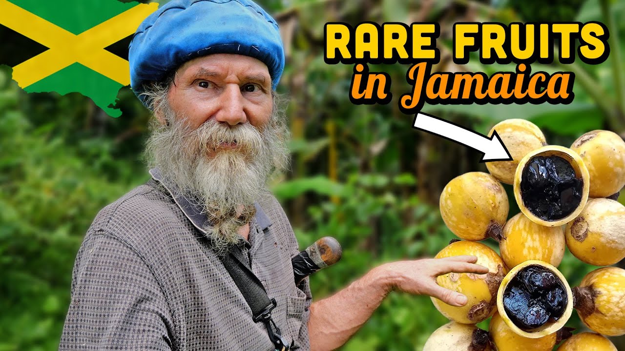 That Grows in Jamaica!? RARE & Exotic Fruit Tour at Tommy's 🇯🇲
