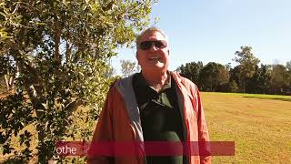 Simpladent testimonial: Phil from Australia