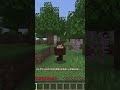 【マイクラ】マインクラフター99%が知らないこと...? #Shorts