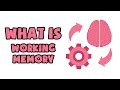 What is working memory  explained in 2 min