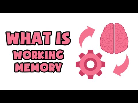 Wideo: Jaka jest najlepsza definicja quizletu pamięci roboczej?