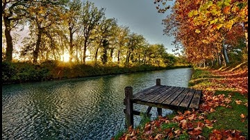 سورة الأنسان تلاوة مميزة بصوت القارئ نورالدين سليم نوري