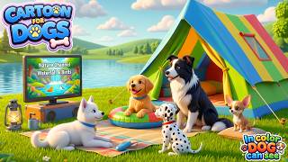 TV for Dog in color they can see Perfect for Busy Dog Parent Cartoon for Pet with Ambient music