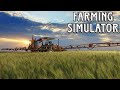 farming simulador/ a fazenda de lz