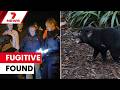 Mary the Gold Coast's missing Tassie Devil found and in specialist care | 7NEWS