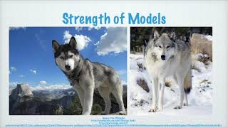Concrete Examples