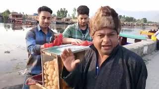 Kashmir Ki Kali Lawda Ek Government Company Hai Deepak Kalal Bhau Carry