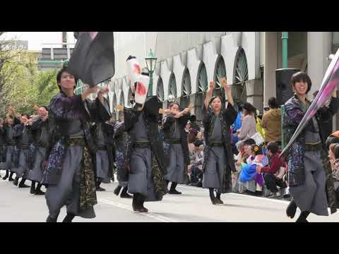 「 かんしゃら 」四日市よさこい やったろ舞2019【駅前パレード】