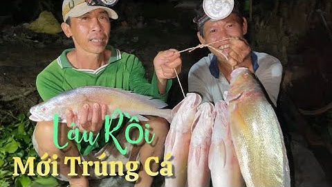 Kiếm tiền triệu trên sông hậu khi dính nhiều cá Sủ cái nghề này có rất nhiều thăng trầm | Cldv #445