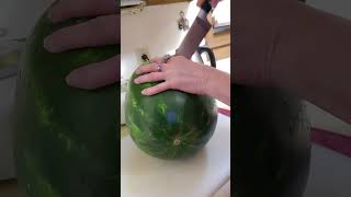 CUTTING WATERMELON