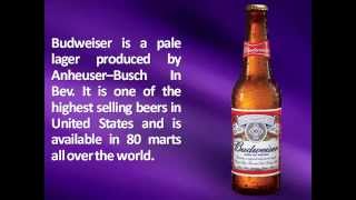 Budweiser Warehouse Job Opportunities