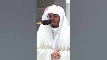 ويسقون فيها كأسا كان مزاجها زنجبيلا ~ تلاوة تحبيرية بديعة للشيخ ياسر الدوسري - التلاوة كاملة بالوصف