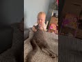 Cute Baby and kitten love 🥰💕#cute #kittens #sleep #family
