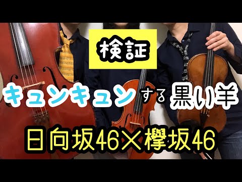 【欅坂46✖️日向坂46】キュンキュンする黒い羊（バイオリン、チェロ、ビオラ ）弾いてみた