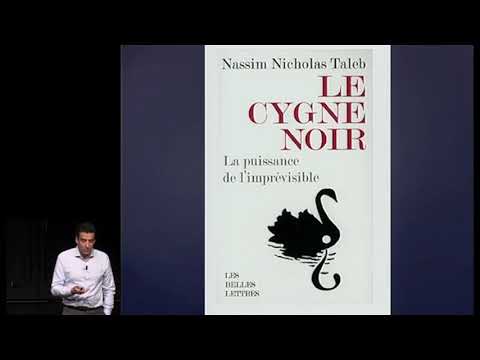 Vidéo: Le cygne noir est un oiseau noble